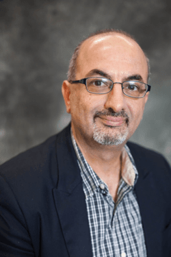 Professor Fadi Fathallah